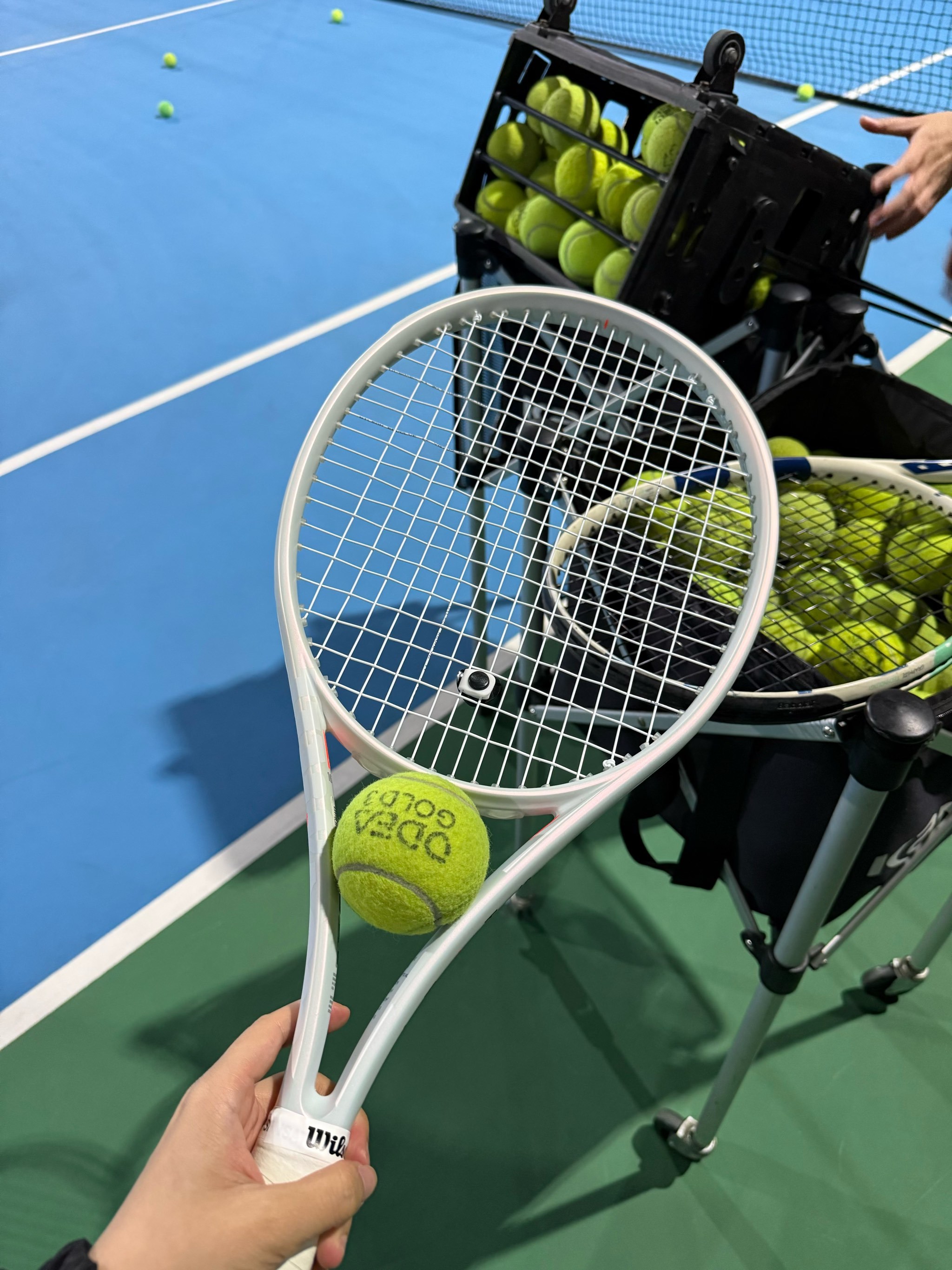 欧洲赛场的 欧洲赛场的