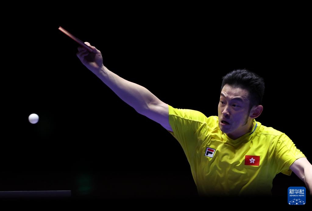 它让皮革 它让皮革