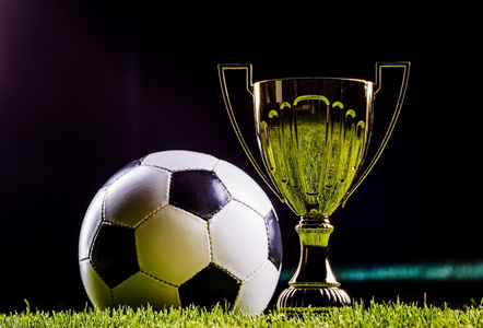 真正的稀缺 真正的稀缺