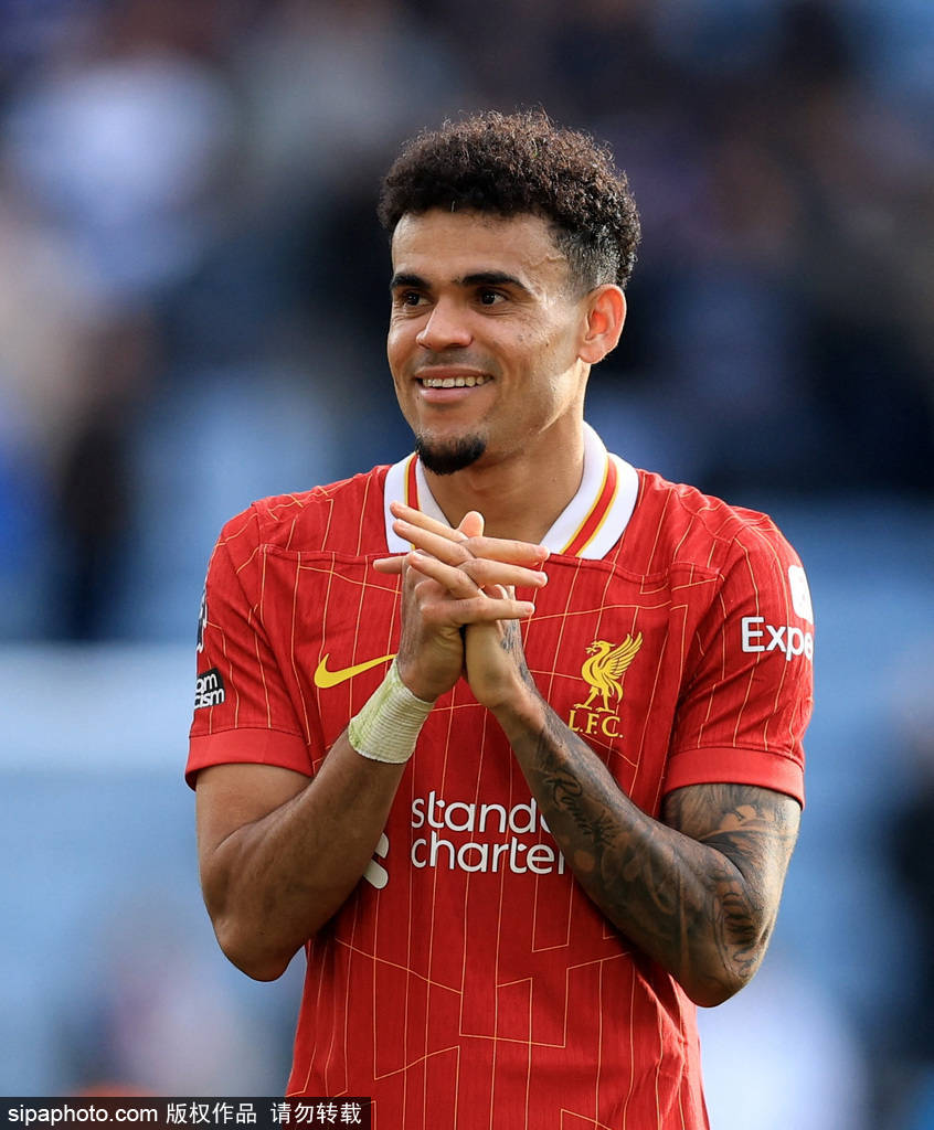 而是因为他 而是因为他